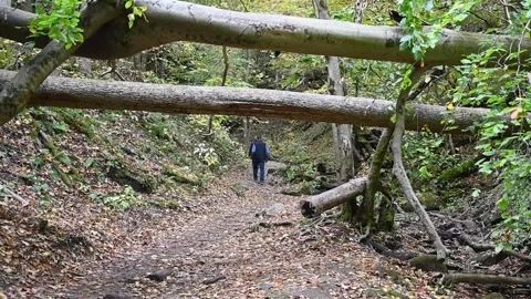 TrailHD05 Stock Footage 168364859