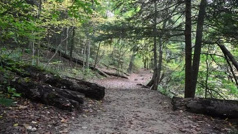 TrailHD07 Stock Footage 168364868