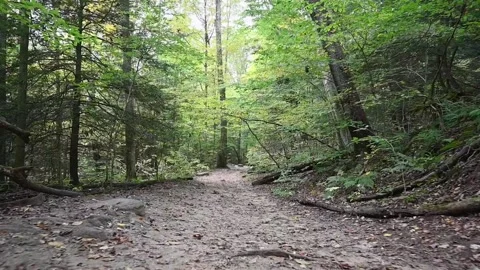 TrailHD08 Stock Footage 168364871