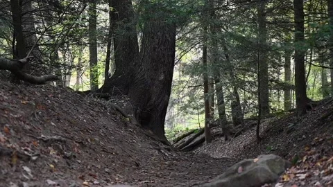 TrailHD09 Stock Footage 168364873