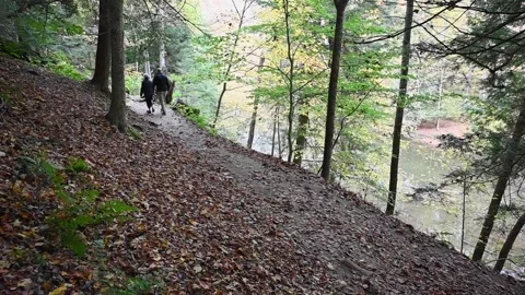 TrailHD10 Stock Footage 168364874