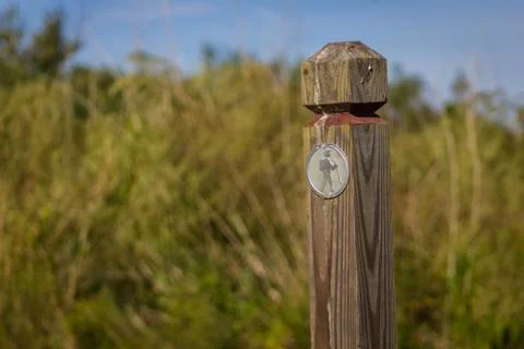 The Trailhead Stock Photos