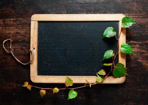 Trailing leaves on a blackboard Stock Photos