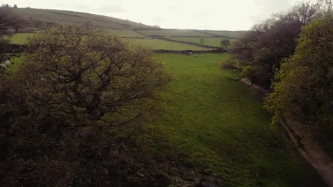 Trails and paths in rugged Yorkshire farmland 库存影片 318905219