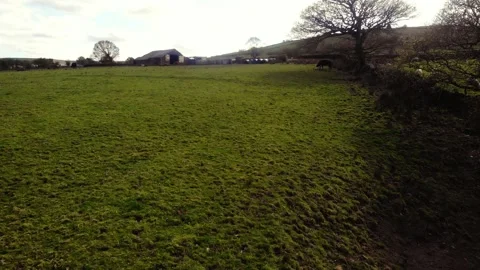 Trails and paths through rugged farmland Stock Footage 308918636