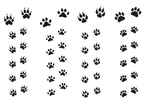 Trails of animals steps isolated on white background. Paw Print. Stock Illustration