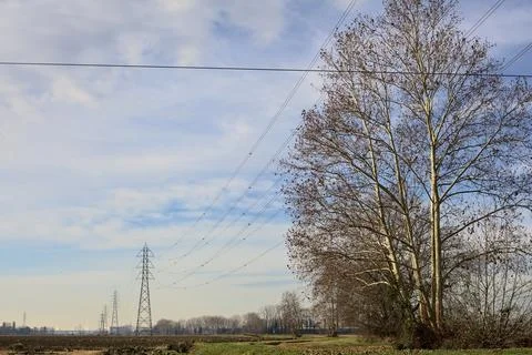 Trails between fields bordered by bare trees seen from over a stream of wat.. Stock Photos
