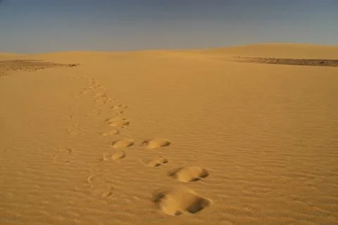 Trails in the desert Stock Photos