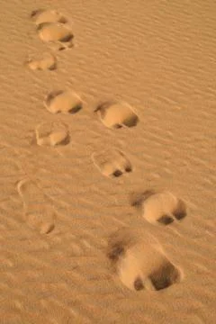 Trails in the desert Foto stock