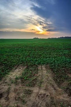 Trails on the field Stock Photos