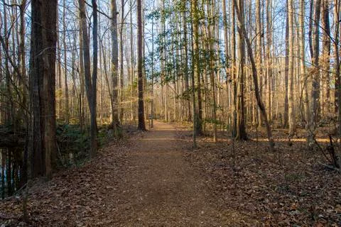 Trails in Spring Stock Photos