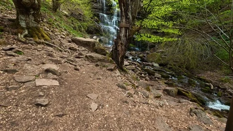 Trails wind through mossy forest floor. Tupavica Waterfall, Serbia Stock Footage 335533141