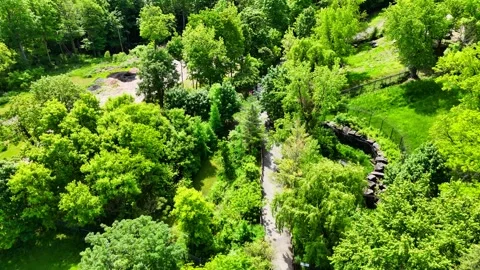 Trailways - Syracuse, NY Video stock 336230054