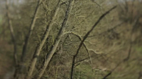 From the train 1 Видео 36117106