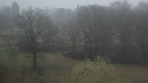 From the train 5 Видео 36116912