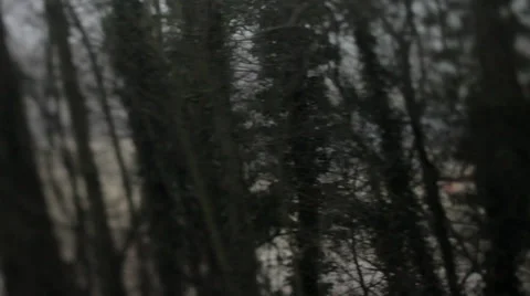 From the train 6 Видео 36117207