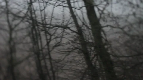 From the train 7 Видео 36117186