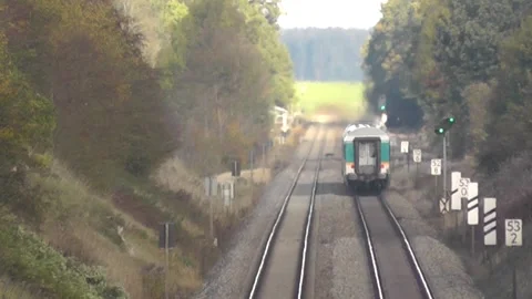 Train Alex in Landscape in Bavaria and Animal in Dangerous Situation Stock Footage 309917373
