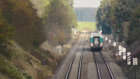 Train Alex in Landscape in Bavaria and Animal in Dangerous Situation Stock Footage 332070318