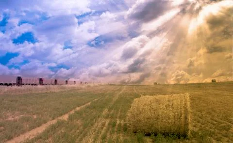 Train and field with hay Stock Illustration