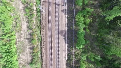 Train and forest Stock Footage 76999398