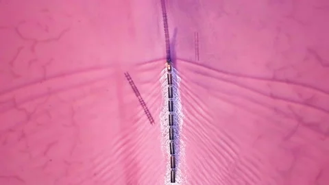 Train and lake Stock Footage 197501941