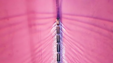 Train and lake Stock Footage 201166874