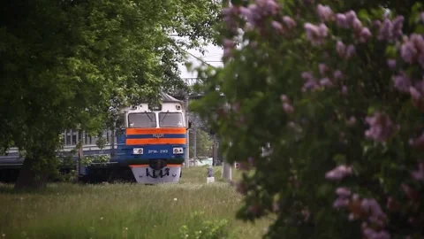 Train and lilac Stockbeeldmateriaal 164444550