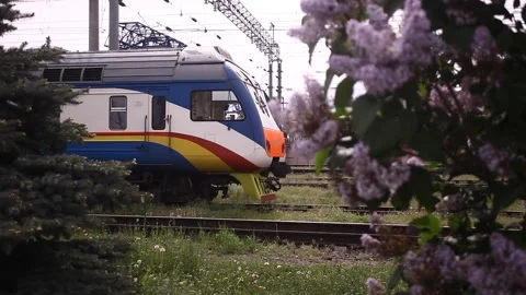 Train and lilac Stock Footage