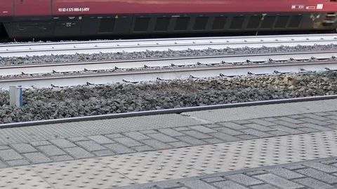 Train and platforms to the station roma Stock Footage 79473313