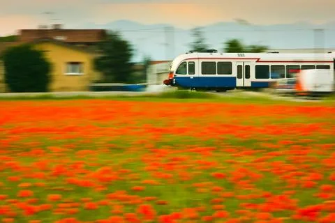 Train and poppies Stock Photos
