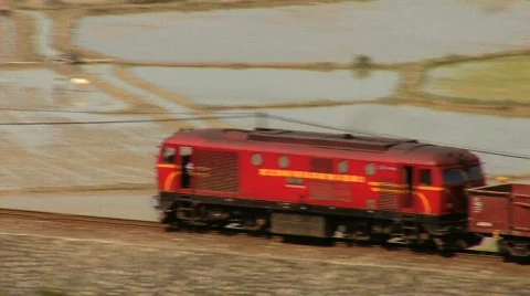 Train and Rice Paddy Fields Видео 283097