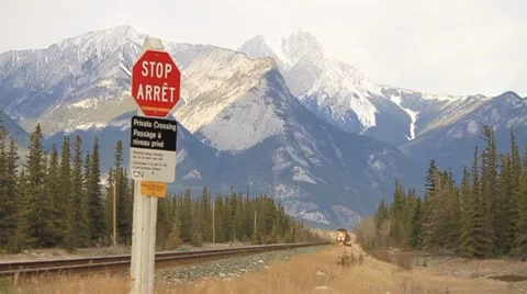 Train approaching through Jasper National park Stock Footage 7752934