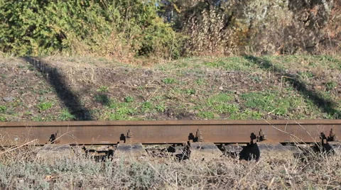 Train arriving Video stock 53447771