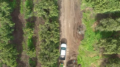 A train of avocado crate Stock Footage 167401781
