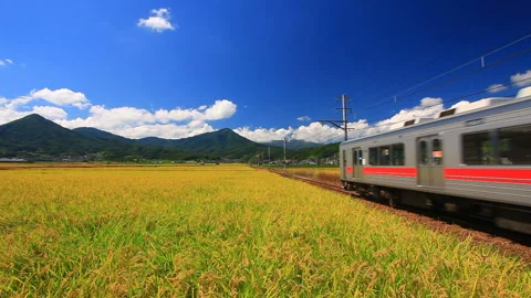 The Train on Bessho Line, the Rice Fields in Harvest, Mount Onna and Mount Kami Видео 330425877