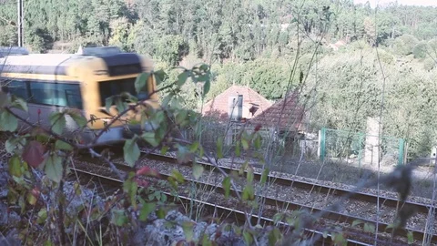 Train Between Flowers 動画素材 92911271