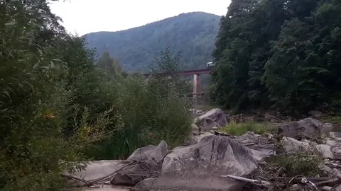 Train on the bridge in the mountains Stock Footage 71540457