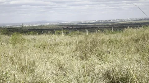 A train on the bridge at Nairobi National Park, Kenya Stock Footage 317123760