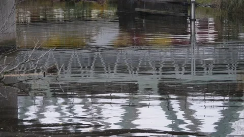 Train Bridge River Crossing Seen in Water Reflection with Ripples, Slow Motion Stock Footage 234601833