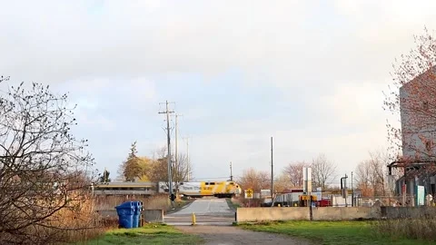 The train in the Canada Stock Footage 239574417
