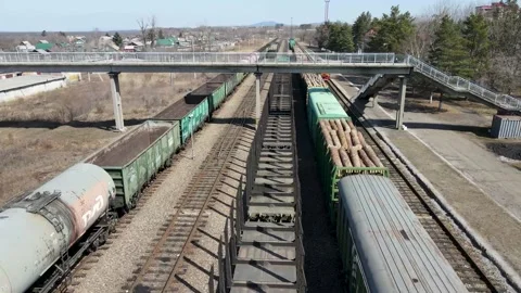 The train carries cargo and timber Stock Footage 151967614