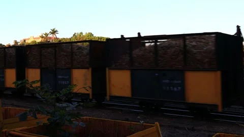 Train carrying sugar cane after harvest. Stock Footage 278040665