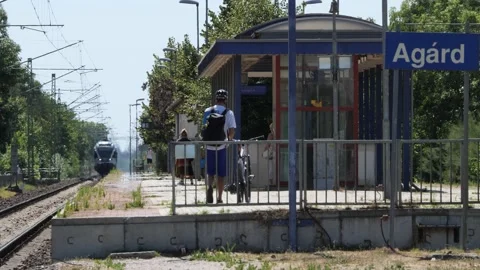 Train coming with high speed to Agárd station | Hungary  | Velencei-tó Vídeo Stock 201560184