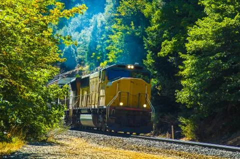 Train coming out of trees Stock Photos