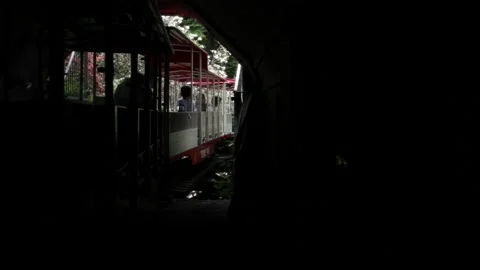 Train Coming out of a Tunnel Stock Footage 202279059