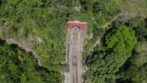 Train coming out from tunnel in forest drone shot 4k 30p Stock Footage 232331948
