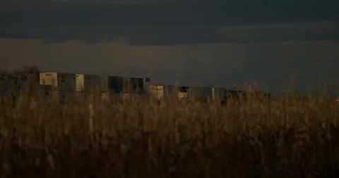Train By Corn Field Sunset Stock Footage 71815791