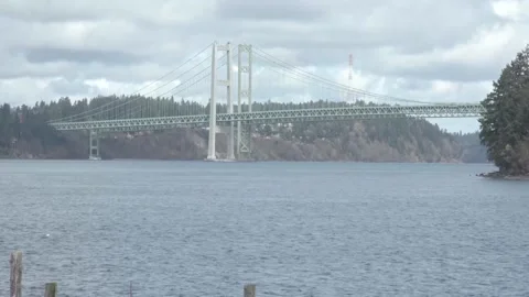 A train crossing a bridge over a body of water Stock Footage 156016715