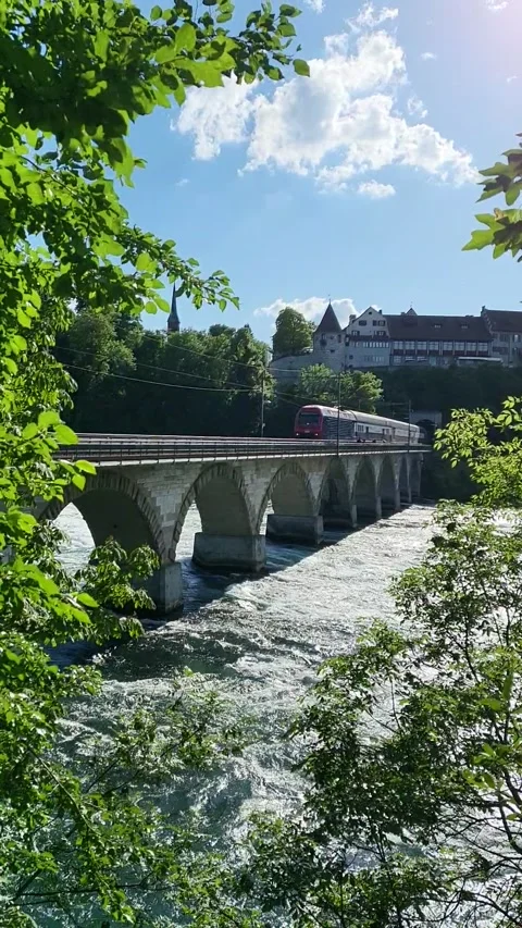 Train crossing bridge over River Rhine. Stock Footage 199668917